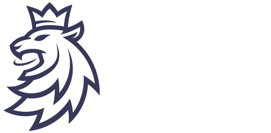 Český hokej