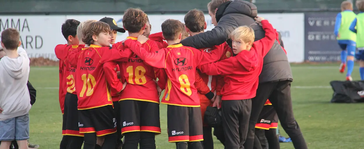 Samenwerken met de trainer